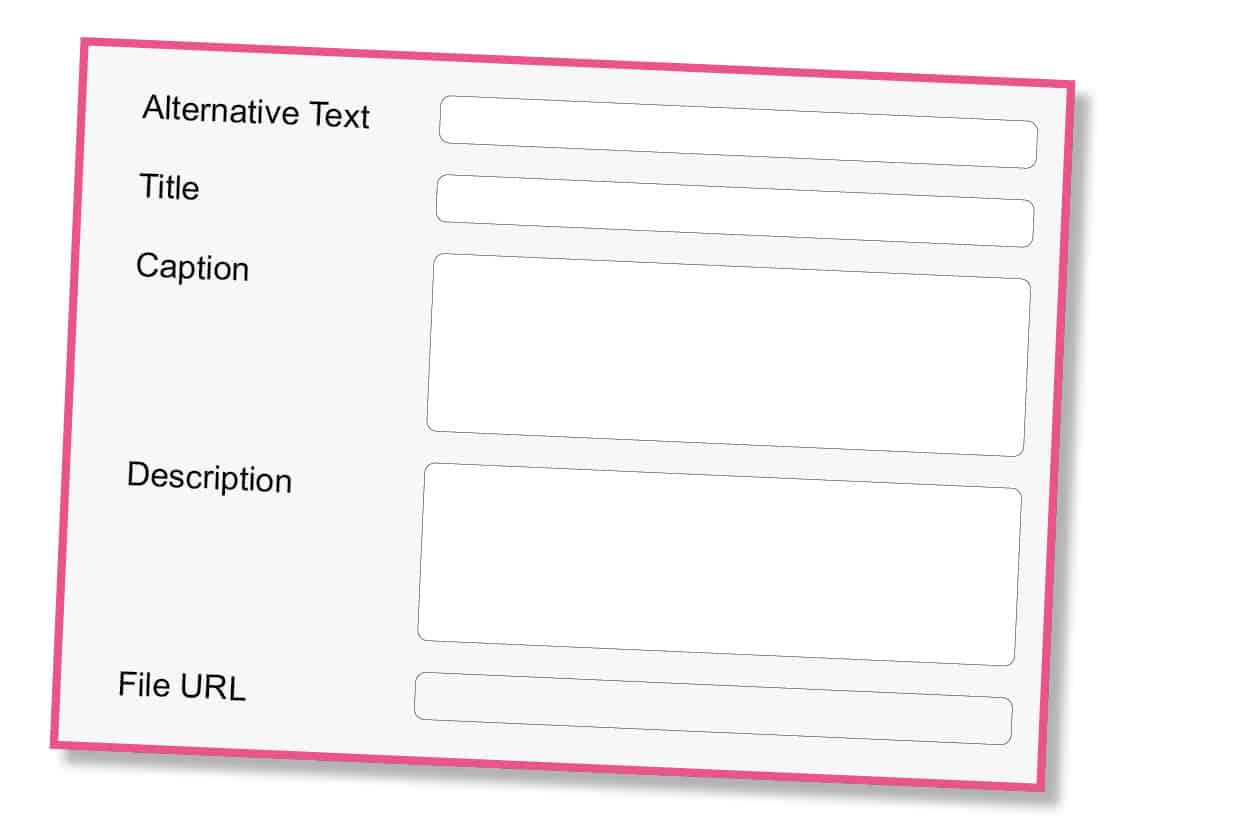 Fineline Print and Web | Web Design North Wales | Off-page Optimisation